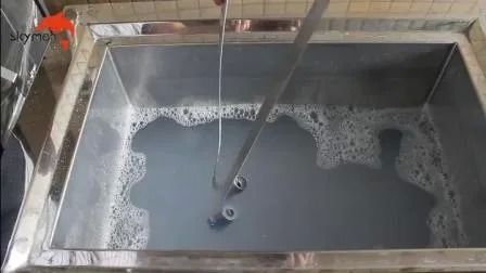 Ultrasone reinigingsapparatuur met één tank, regelbare verwarming, industrieel
