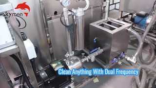 Dual Frequency Ultrasone Reiniger